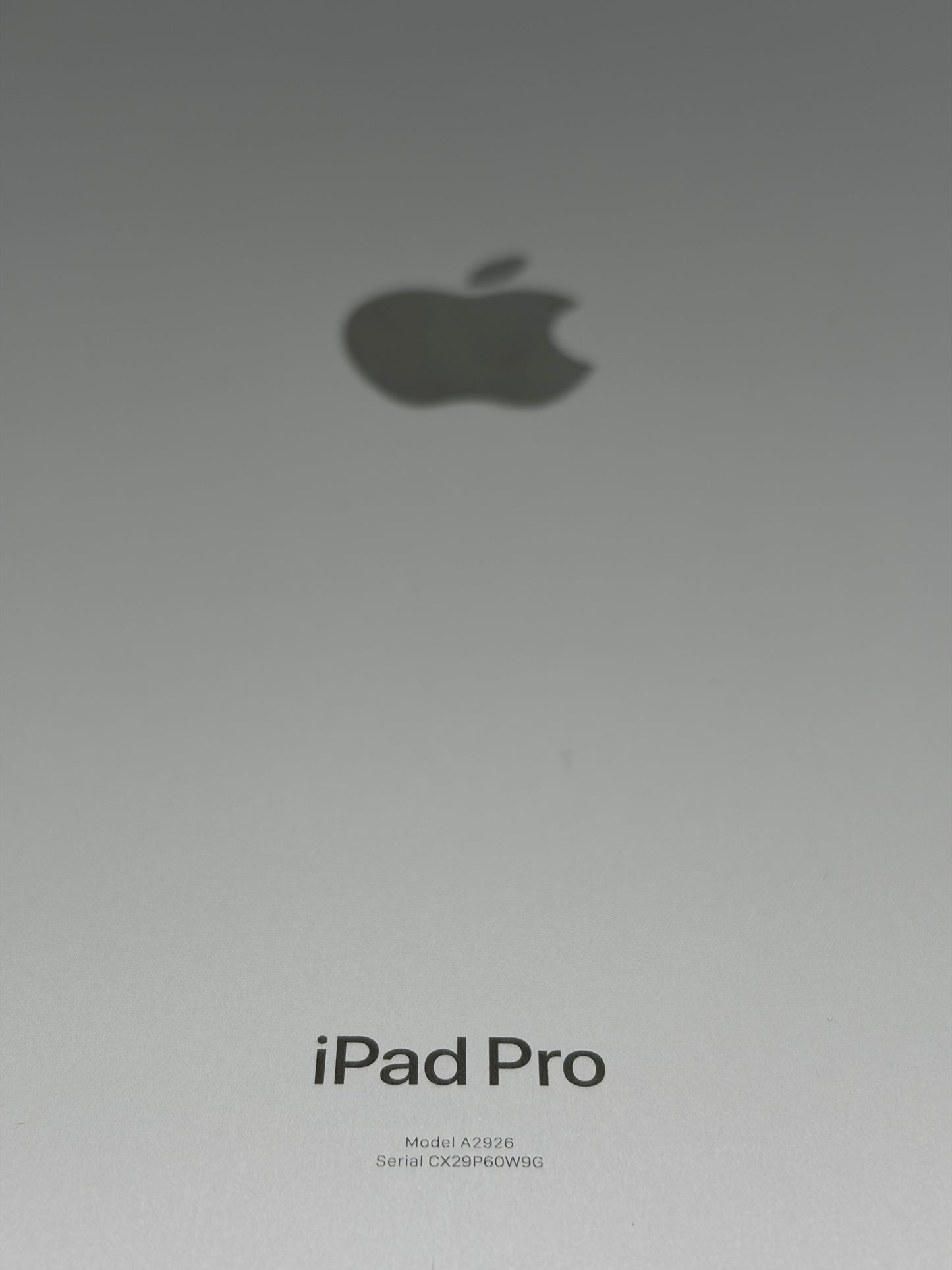 2024 Apple iPad Pro 13" M4 A2926 512GB Silver WiFi + Cellular BAD LCD