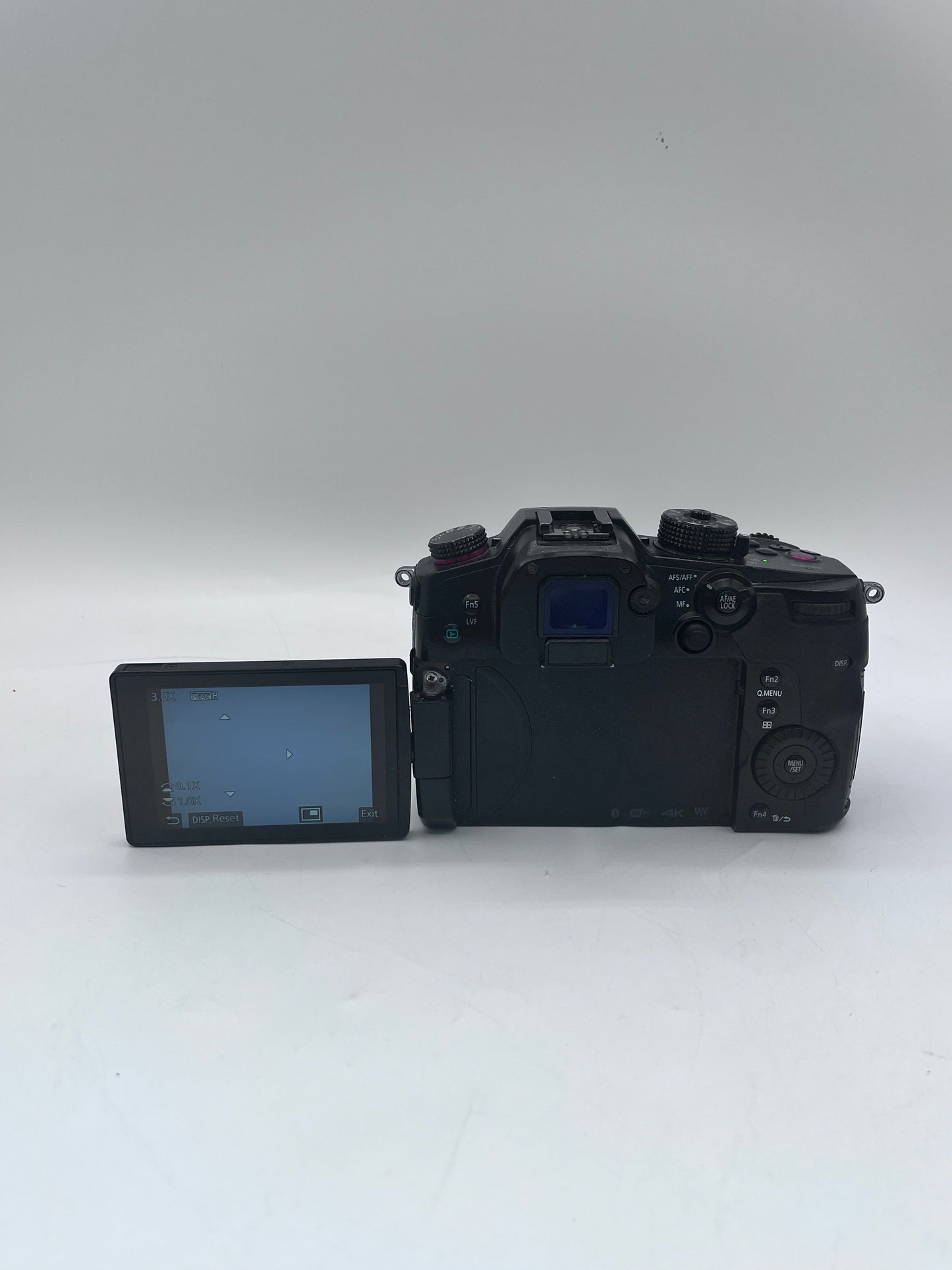 Lumix GH5S 10.2MP Digital Camera with 25M Lens - Black