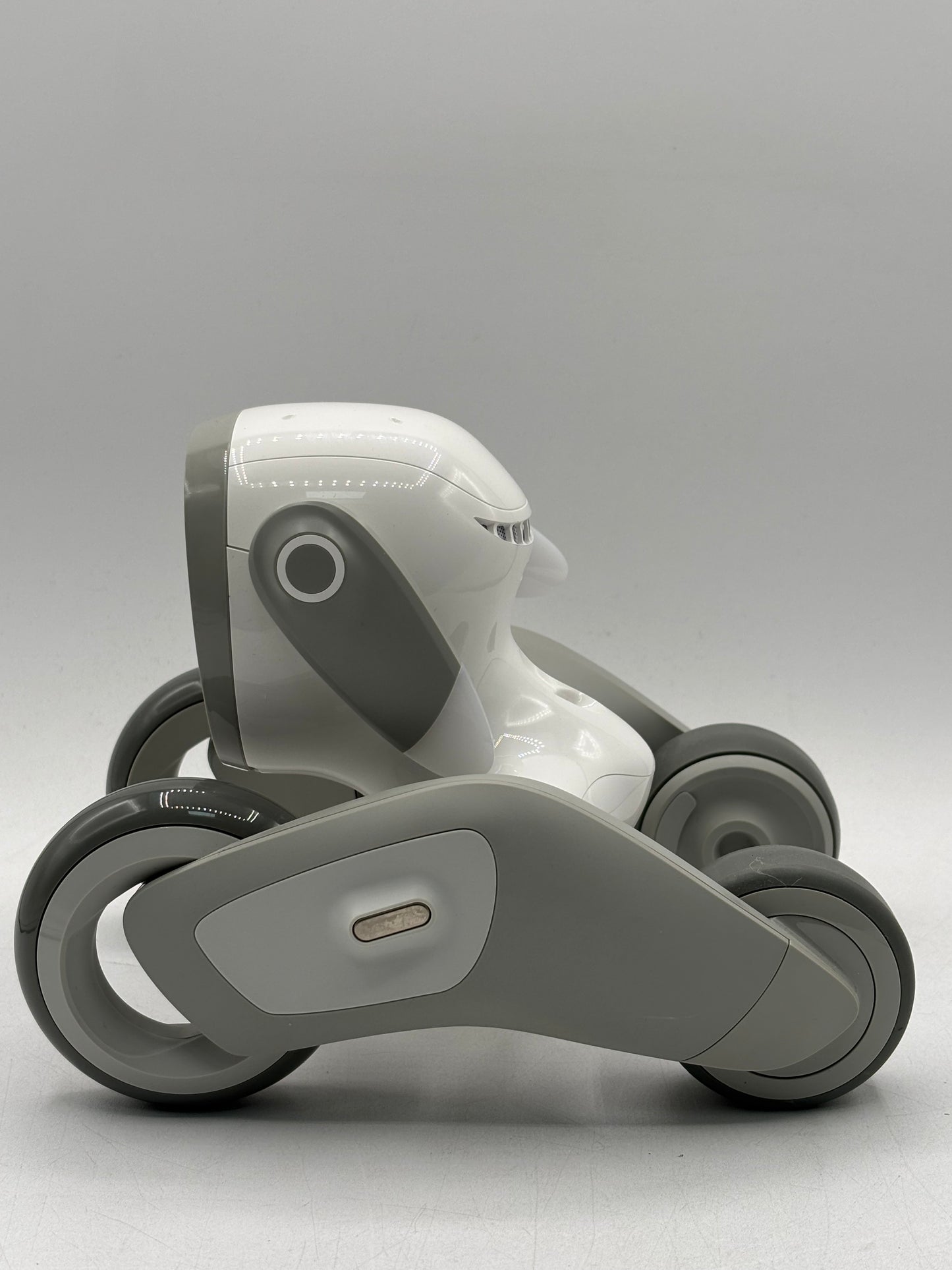 Loona Robot With Charger, Manual & Foam Box