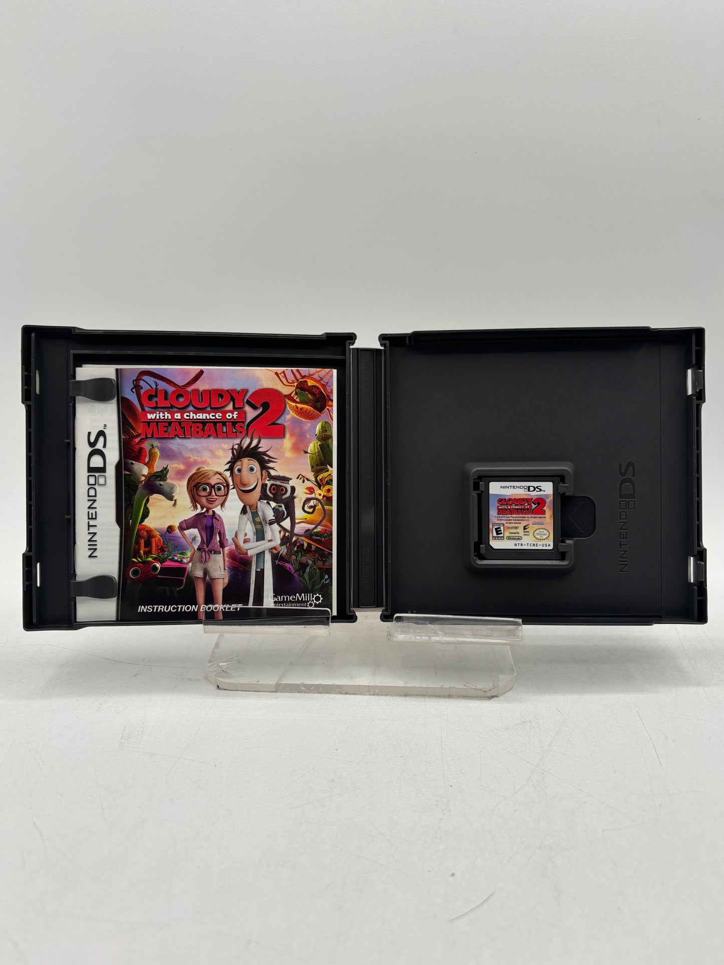 Nintendo DS, Cloudy with a Chance of Meatballs 2