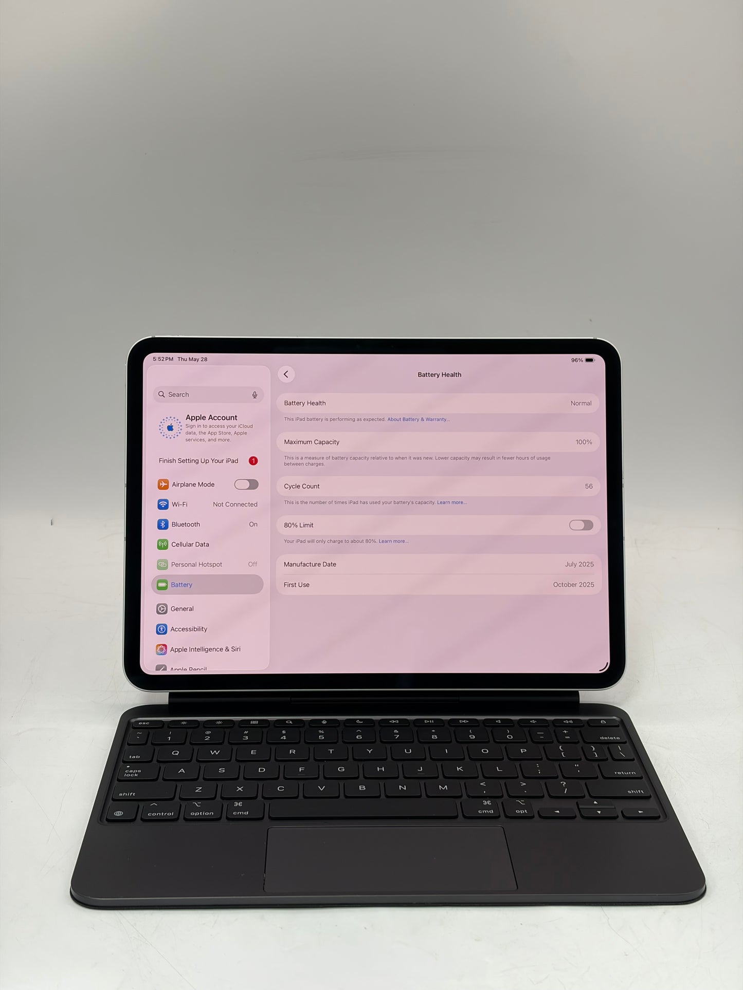 2025 Unlocked Apple iPad Pro 11" M5 256GB WiFi + LTE A3358 ME2P4LL/A 100% BH