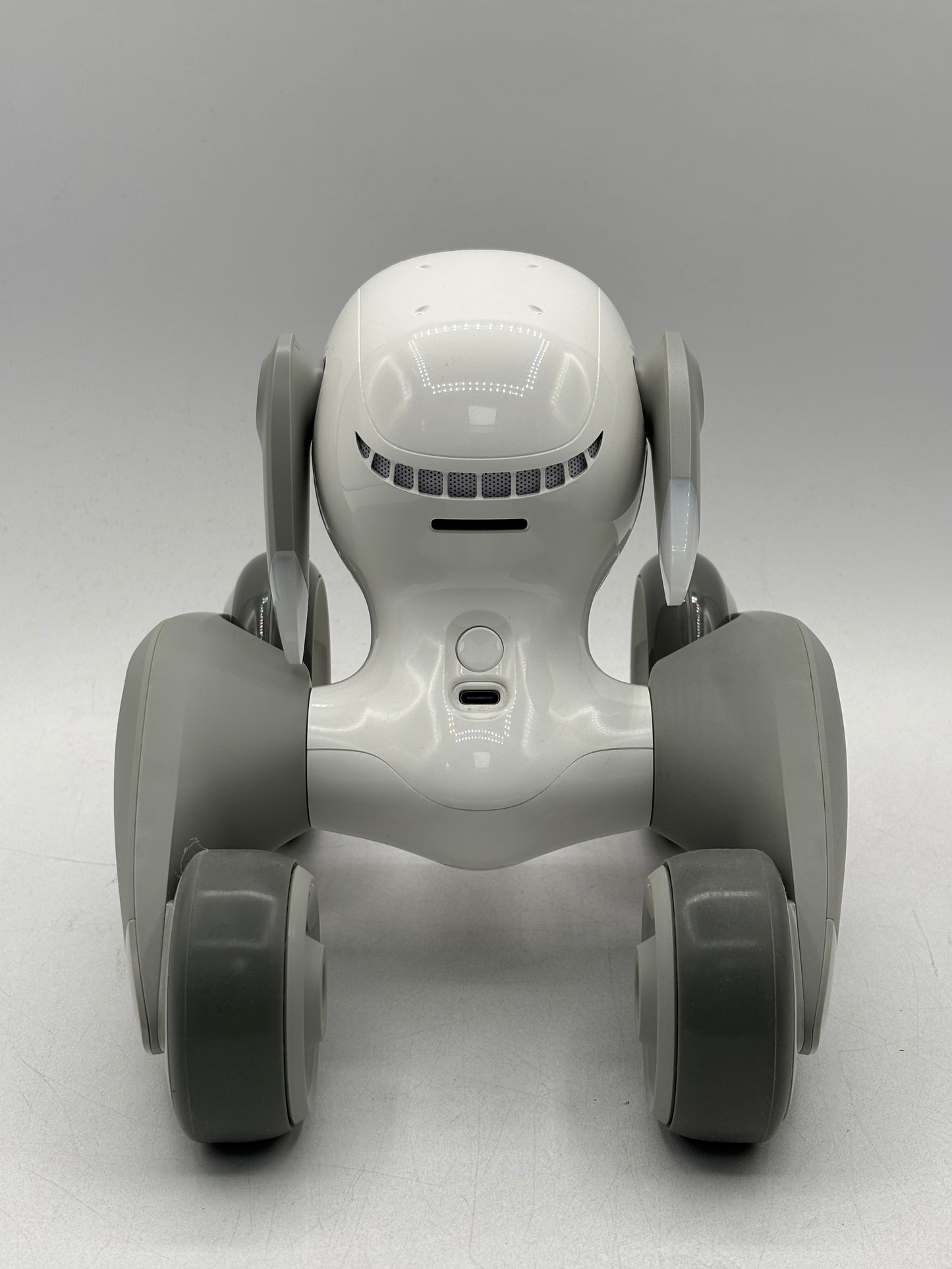 Loona Robot With Charger, Manual & Foam Box