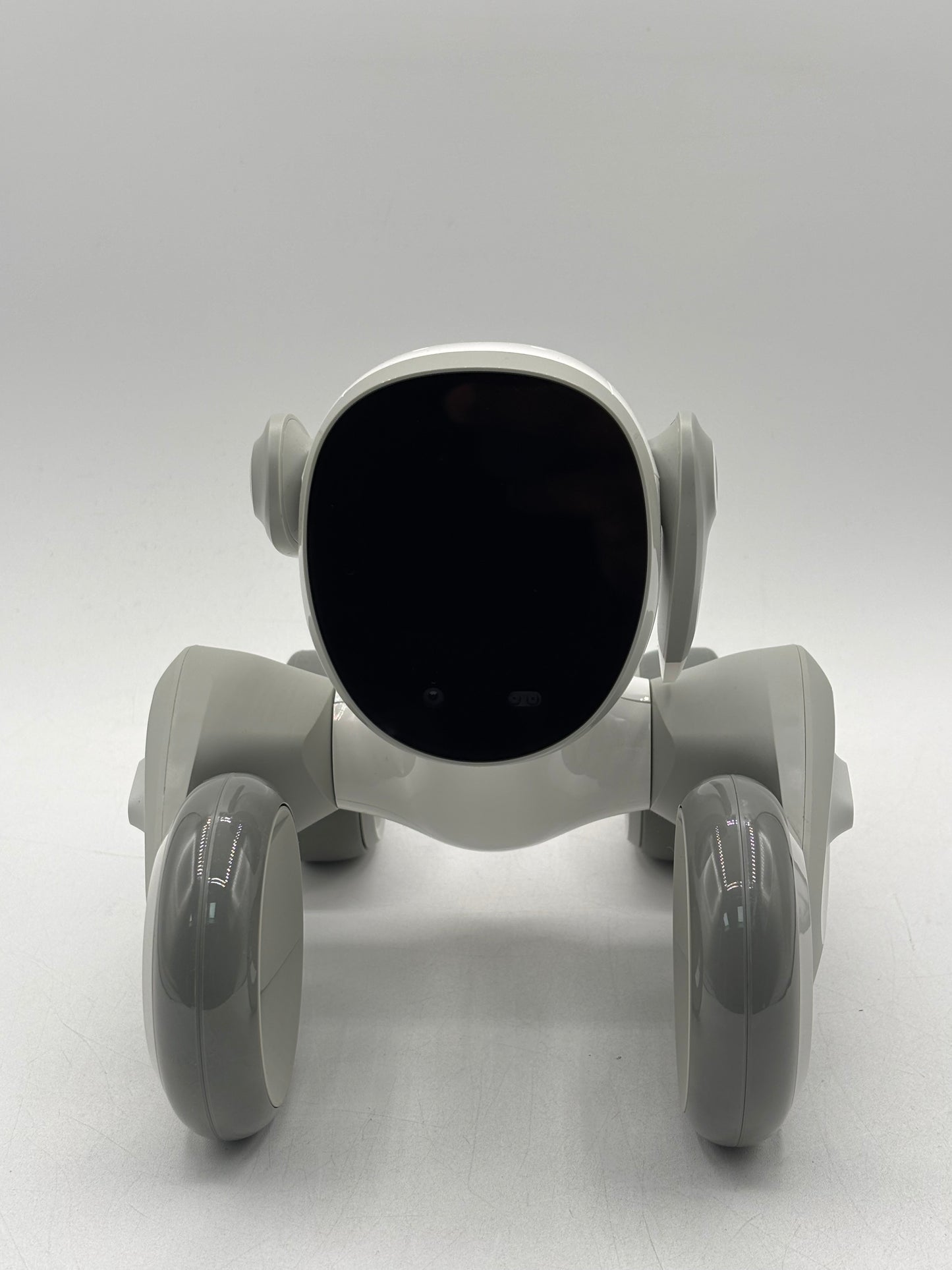 Loona Robot With Charger, Manual & Foam Box