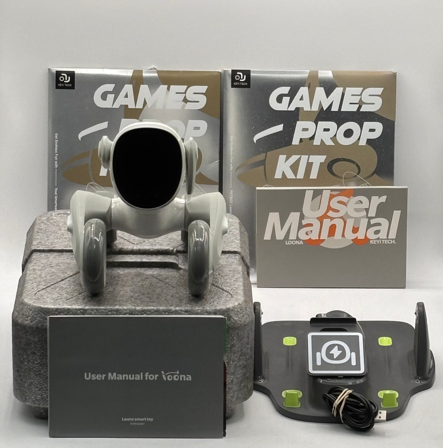 Loona Robot With Charger, Manual & Foam Box