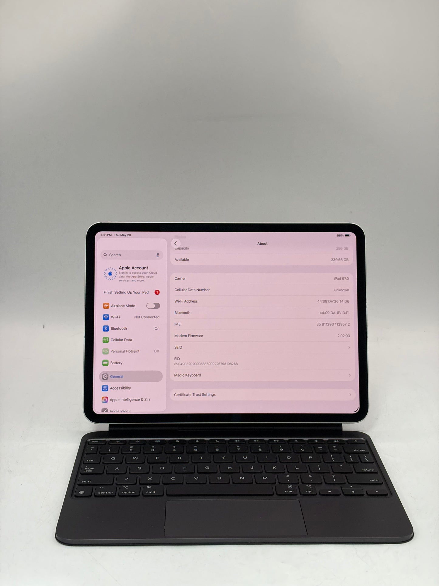 2025 Unlocked Apple iPad Pro 11" M5 256GB WiFi + LTE A3358 ME2P4LL/A 100% BH